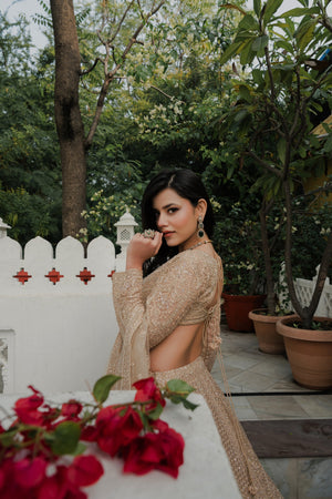 Divine Flair: Gold Tulle Celebrity Inspired Designer Lehenga Choli