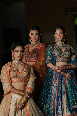 Majestic Allure: Multicolor Banarasi Weaving Silk Lehenga Choli – Palkhi Fashion