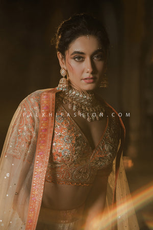 Majestic Allure: Multicolor Banarasi Weaving Silk Lehenga Choli – Palkhi Fashion