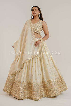 Opulent Charm: Lavish Champagne Color Lehenga Choli – Palkhi Fashion USA