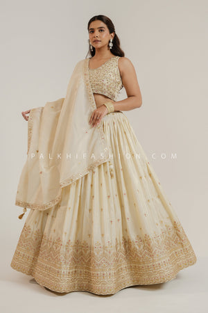 Opulent Charm: Lavish Champagne Color Lehenga Choli – Palkhi Fashion USA