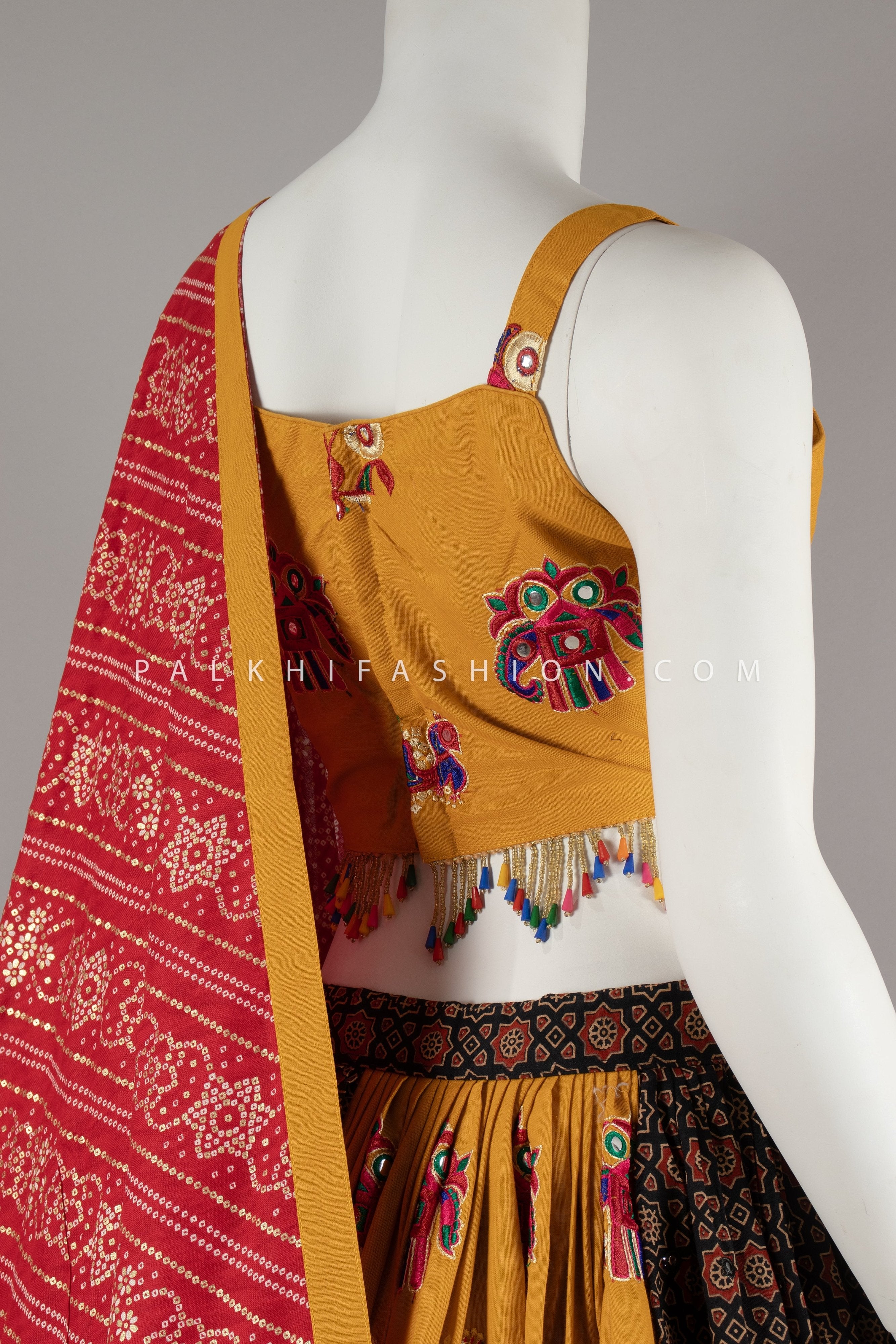 Vibrant Multi - Color Designer Navratri Chaniya Choli Set – Palkhi Fashion