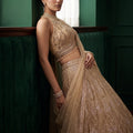Champagne Elegance | Gold Cutdana & Sequin Net Lehenga Choli | Palkhi Fashion