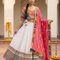 Color Carnival – Designer Multicolor Navratri Chaniya Choli with Stunning Dupatta | Palkhi Fashion