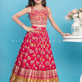 Rani Pink Soft Silk Lehenga Choli With Handwork Blouse - Palkhi Fashion