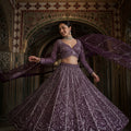 Royal Opulence | Wine Net Designer Lehenga Choli With Beads & Cutdana | Palkhi Fashion