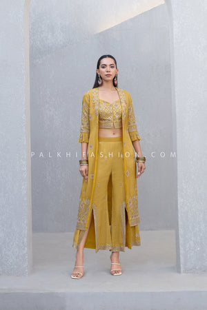 Alpine Sunshine: Hand - Embroidered Crop Top Jacket & Palazzo Set – Palkhi Fashion