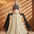 Couture Glow — Champagne/ Black Soft Silk Lehenga Choli Ensemble | Palkhi Fashion Houston
