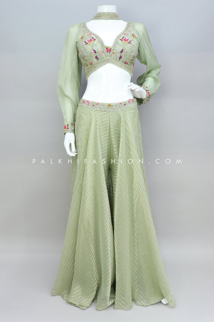 Fascinating Light Green Crop Top Palazzo Outfit - Palkhi Fashion